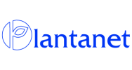 Plantanet