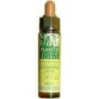 Cherry Plum Plantis n º 06 10ml.