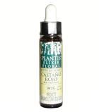 Castanha Vermelha Plantis Nº 25 10 ml