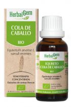 Cavalinha 50ml