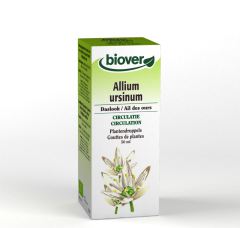 Allium ursinum (Wild Garlic) Tm 50 Ml.