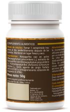 Harpagophyto 10 comprimidos 500 mg