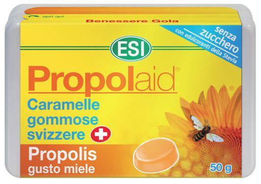 Mel de caramelo Propolaid 50 gramas