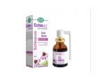 Spray para garganta Echinaid 20 ml