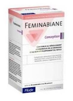 Feminabiane 28Comp.y28Cap Concepcion.