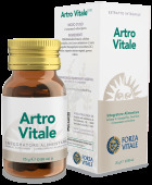 Artro Vitale 25Gr.comprimidos