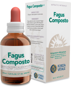 Extrato de Faia Composto 50 ml