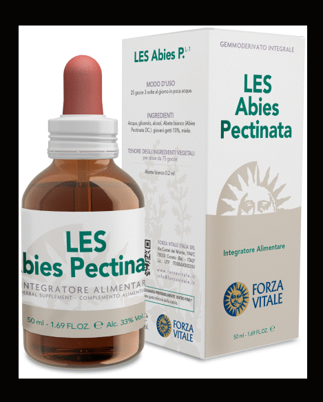 Les White Fir Abies pectinata 50ml.