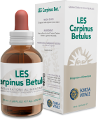 Les Carpinus Betullus Carpino 50ml.