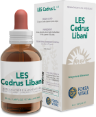 Les Cedrus libani 50ml.