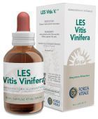 Videira Vitis Vinifera 50 ml