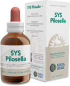 Sys.pilosella 50ml.