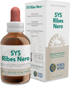 Sys.ribes Nero (groselha preta) 50ml.