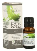 Óleo Essencial Folhas de Canela Folhas 10 ml