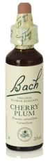 Cherry Plum Fb 20ml. (Florais de Bach)