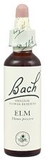 Fb Elm 20ml. (Florais de Bach)