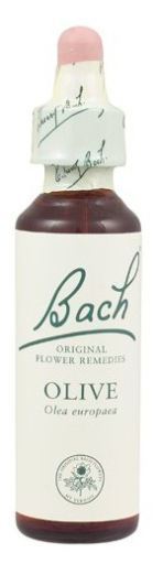 Genciana Fb 20ml. (Florais de Bach)