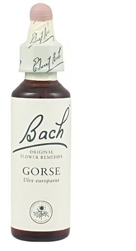 Gorse Fb 20ml. (Florais de Bach)