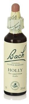 Holly Fb 20ml. (Florais de Bach)