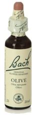 Olive Fb 20ml. (Florais de Bach)