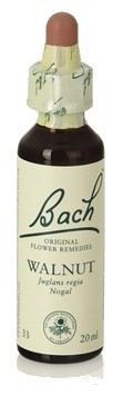 Walnut Fb 20ml. (Florais de Bach)