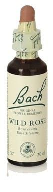 Wild Rose Fb 20ml. (Florais de Bach)