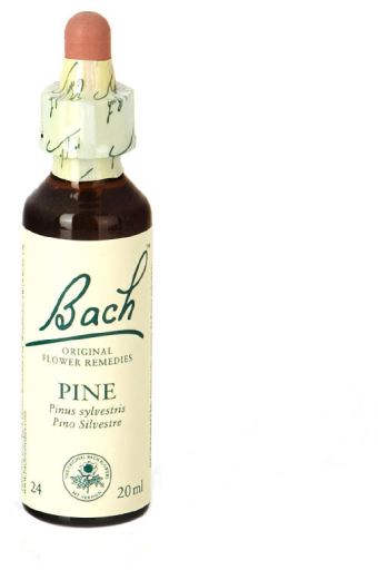 Bach 24 Pinho 20 ml