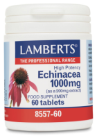 Echinacea 1000 mg mais vit C 40 mg e zinco 2,5 mg 60 cápsulas