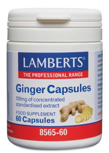 Ginger 120 mg Alta Concentração 60 Cápsulas