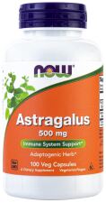 Astragalus 500 mg 100 cápsulas