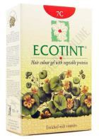 Ecotint Blonde Ash-7C