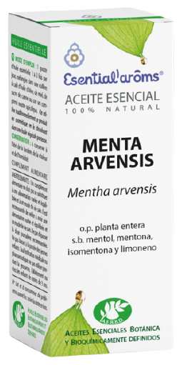 Essência de Menta Arvensis 10 ml