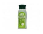 Shampoo Antigrasa Romero 400 ml