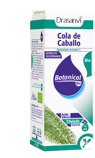 Biografia botânica de Cavalinha glicerinada 50ml