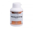 Vitamina B2 Riboflavina 25 Mg Cápsulas Holovit