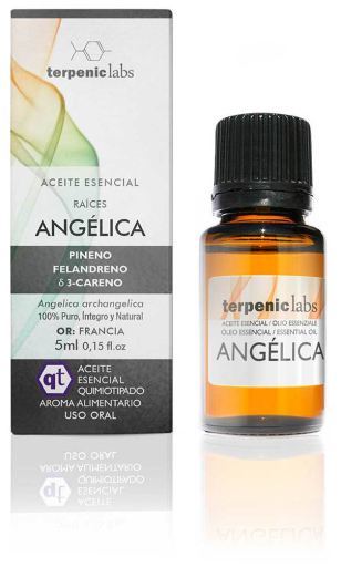 Óleo essencial de angélica 5 ml