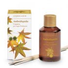 Fragrância de madeira perfumada Ambraliquid 125 ml