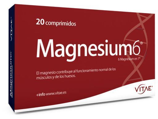 Magnésio 6 20 comprimidos