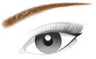 Lápis de Sobrancelha Brow Artist Designer 303 Deep Brown