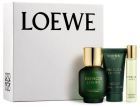 Pacote Essence Loewe 3 peças