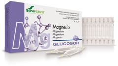 Glucosor Magnésio 28 frascos x 2 ml