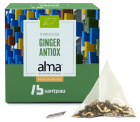 Home Green Tea Ginger 15 Saquetas