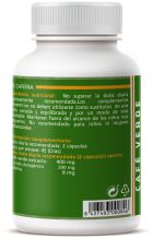 Café Verde 90 Cápsulas 600 mg