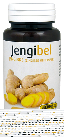 Jengibel 100 Cápsulas