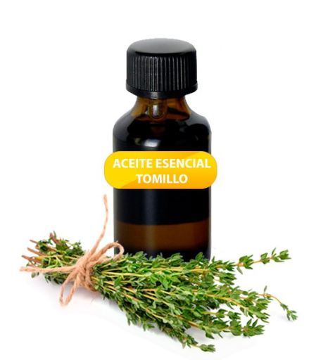 Tomilho de Óleo Essencial 20 ml