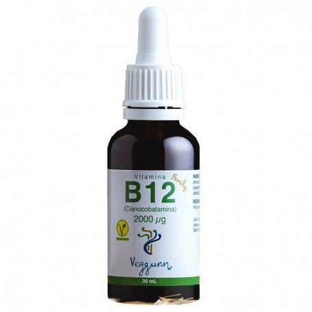 Vitamina B12 Família 30 ml