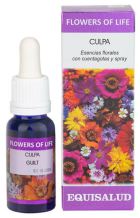 Flor da Culpa da Vida 15 ml