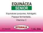 Echinacea 30 Capsules Sénior