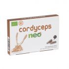 Cordyceps 60 cápsulas