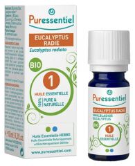 Óleo essencial de Eucalyptus Radiata 10 ml